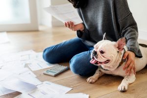 Pet Planning with Texas Pet Trusts - Asset Protection & Business Planning Lawyer - Dallas, Texas